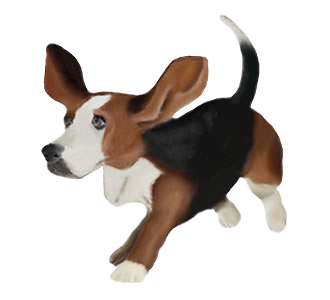 Basset Hound chien - robe 219