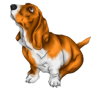 Basset Hound chien - robe 393