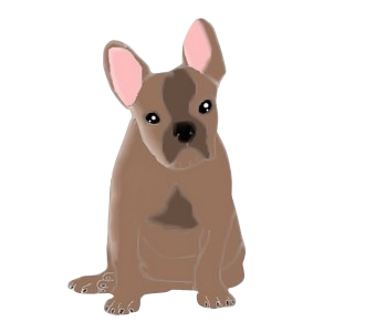 Bouledogue français chien - robe 283