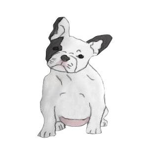 Bouledogue français chien - robe 571