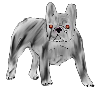 Bouledogue français chien - robe 625