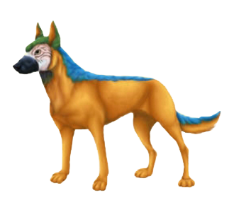 Berger Belge Malinois chien - robe 438