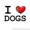 kingdogz
