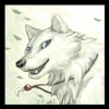dragonbooster22
