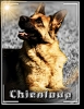 chienloup