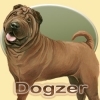 Dogzy