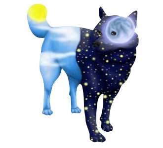Akita Inu chien - robe 242