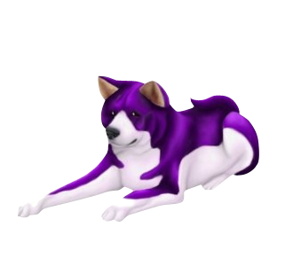 Akita Inu chien - robe 281