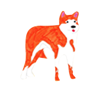 Akita Inu chien - robe 377