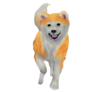 Akita Inu chien - robe 422