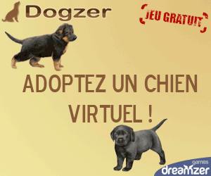 Dogzer : jeu gratuit sur Internet, s\'occuper d\'un chien