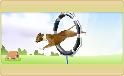 Dogzer - Elevage Virtuel :3 701-2