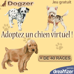 Dogzer : jeu gratuit sur Internet, elever un chien virtuel